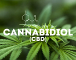 Découverte au Brésil d'une plante alternative à la marijuana contenant du cannabidiol