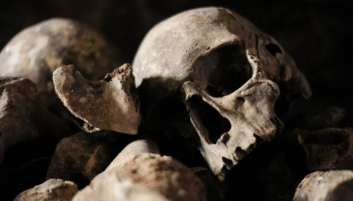 Des preuves détectées de la peste bubonique dans l'Angleterre de l'âge du bronze