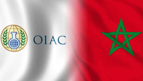 Diplomatie antichimique : Le Maroc, vice-président africain à la Conférence sur les armes chimiques